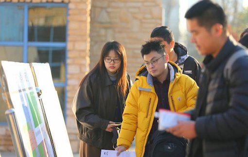 国聘行动第六季深度解析：800万编制岗位信号？